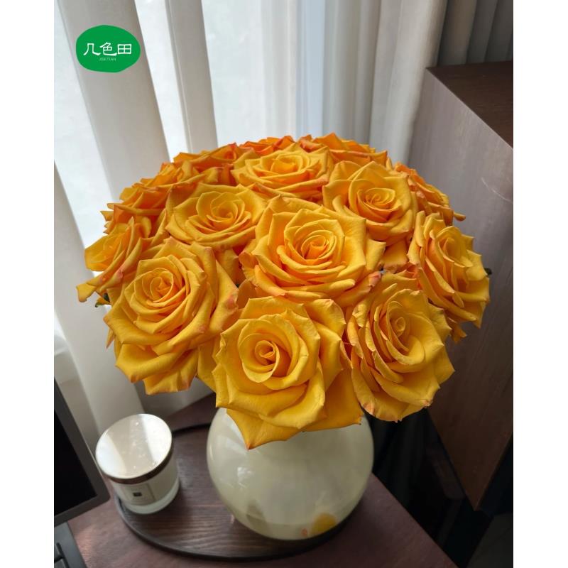 辉煌----单头玫瑰云南直发鲜花云南花插花鲜花 