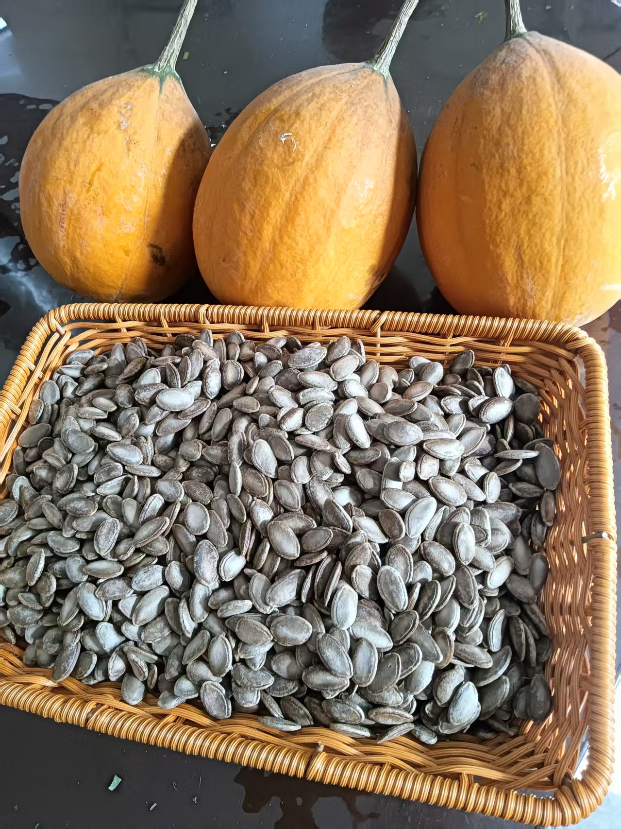 【瓜蒌姐】自家种子瓜蒌子生的瓜蒌种子