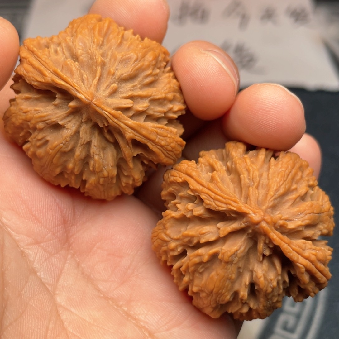 文玩核桃把件10号链接