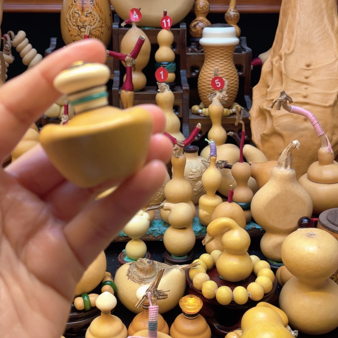 小**汁大自然的秘密第十一节