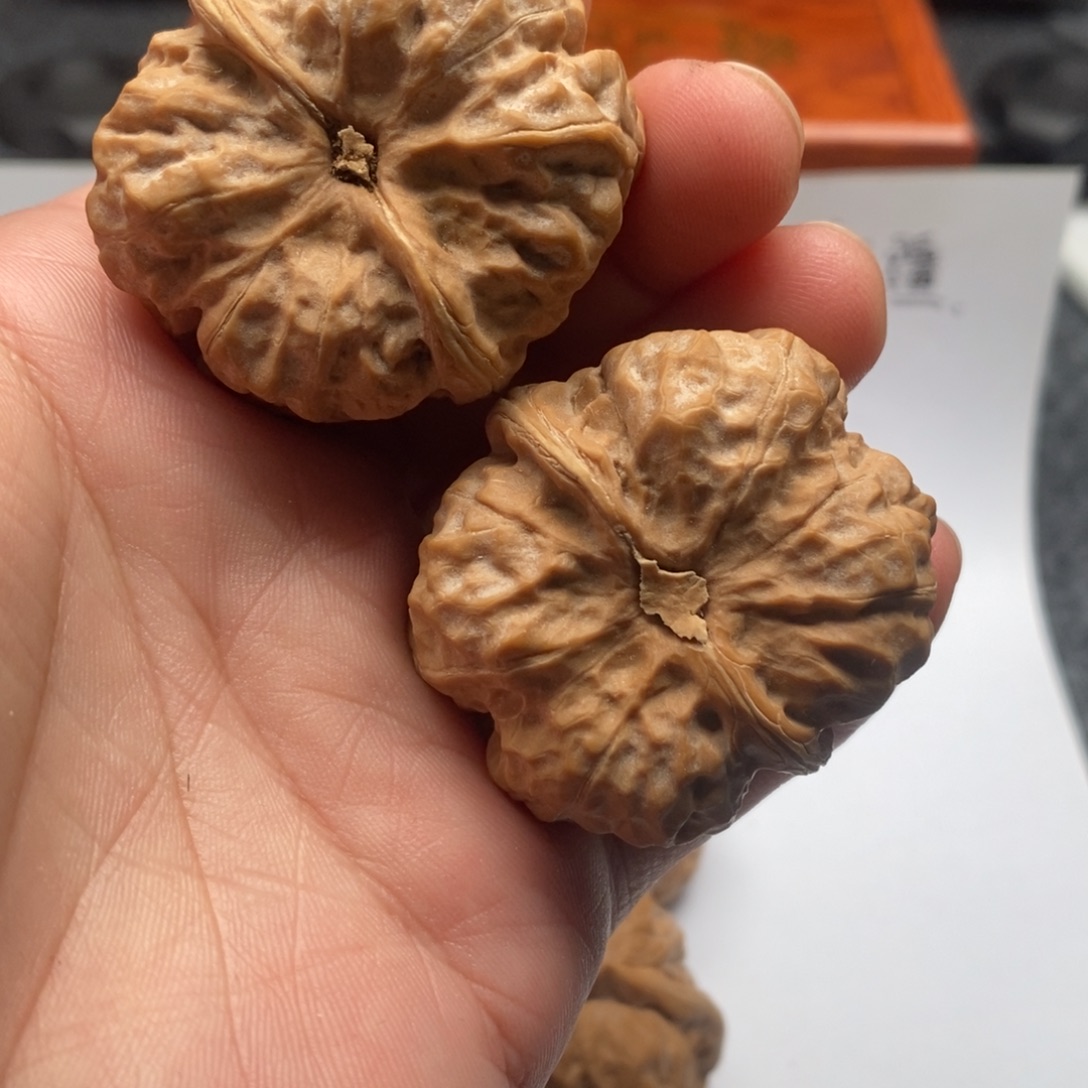 她***舅好的我真的是太喜欢这个