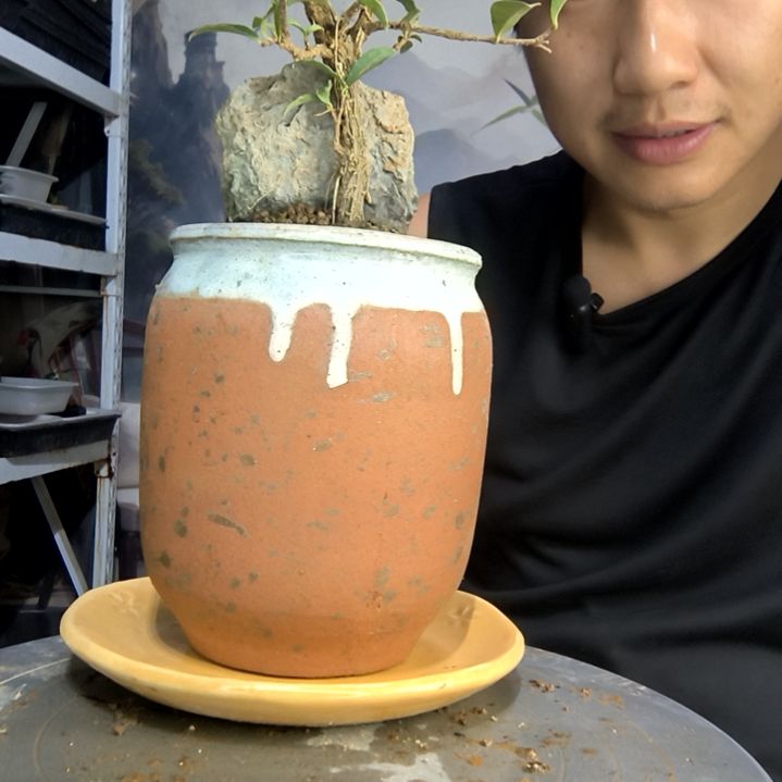 别****，中青园艺一物一拍213