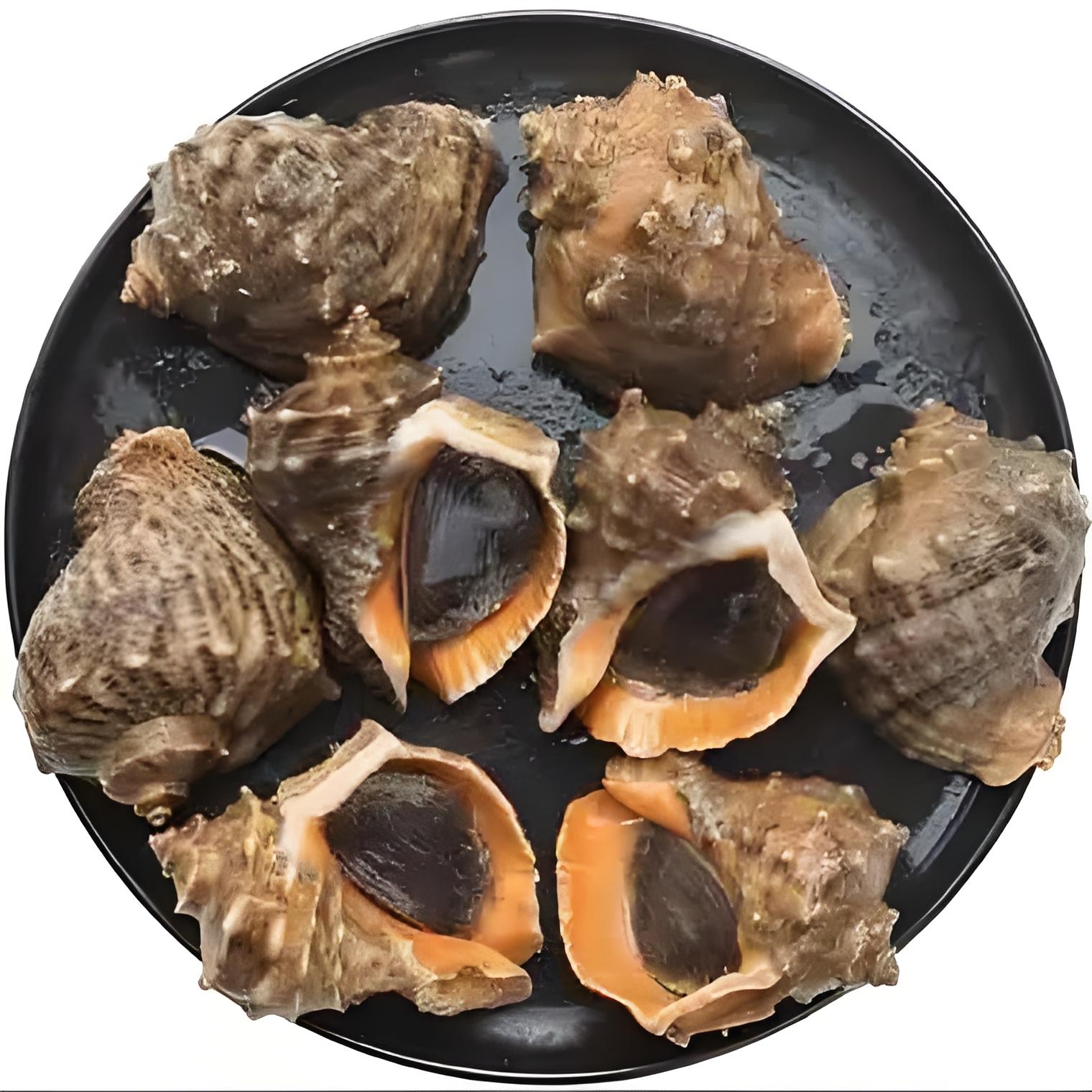（港威海鲜）鲜活大号海螺3斤