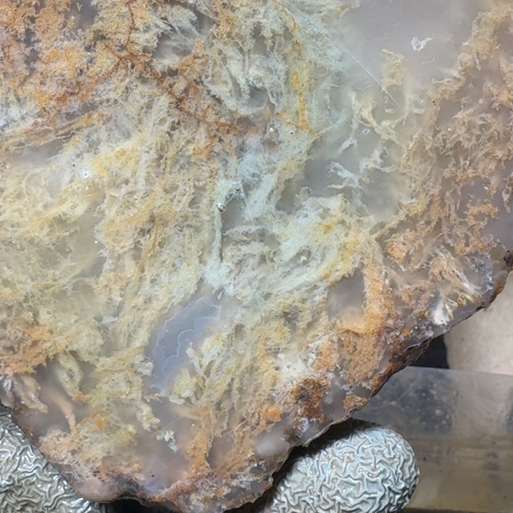 麻***水定制玛瑙玛瑙手镯