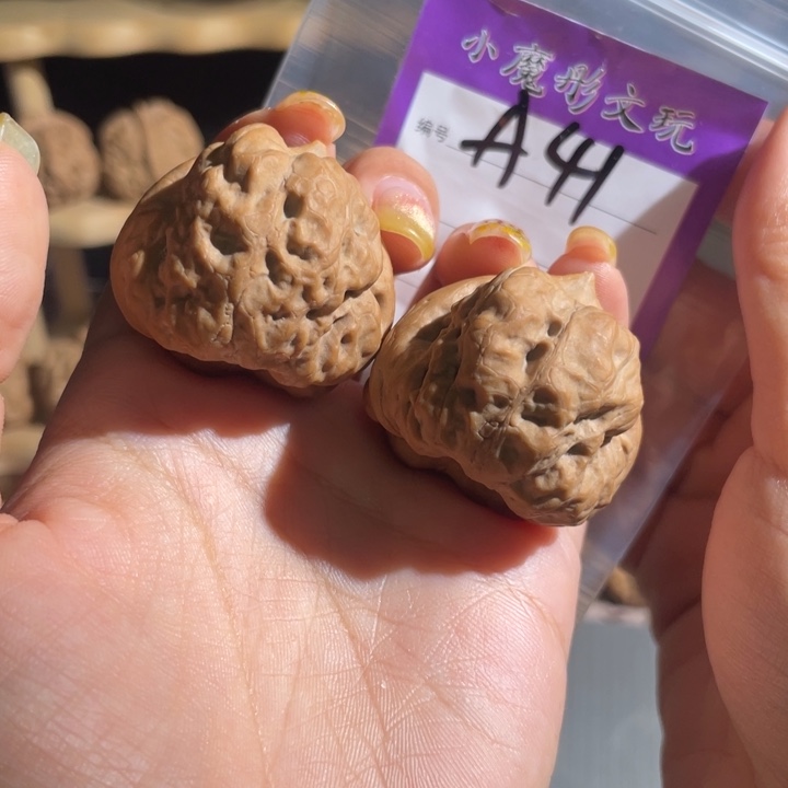 41号 古蝉 388888