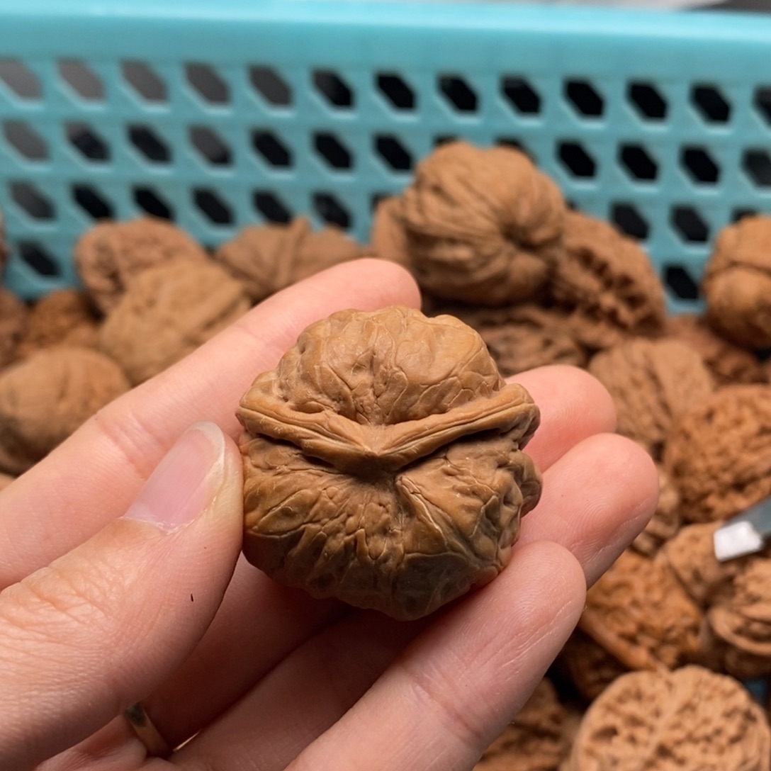 秋***凡核桃定制商品不退不换