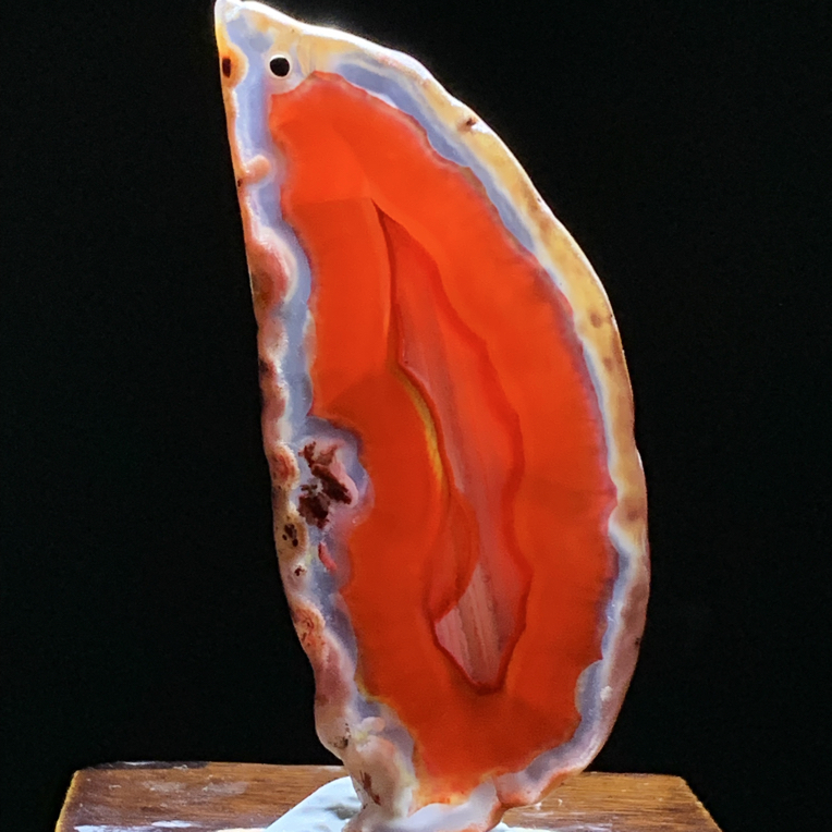 巴西玛瑙原石切片吊坠深红色叶子毛衣链183尺寸75/32/6mm