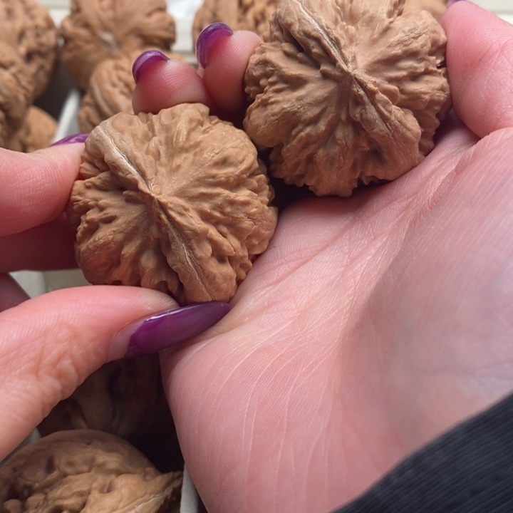 单***环吊坠文玩核桃霸王龙