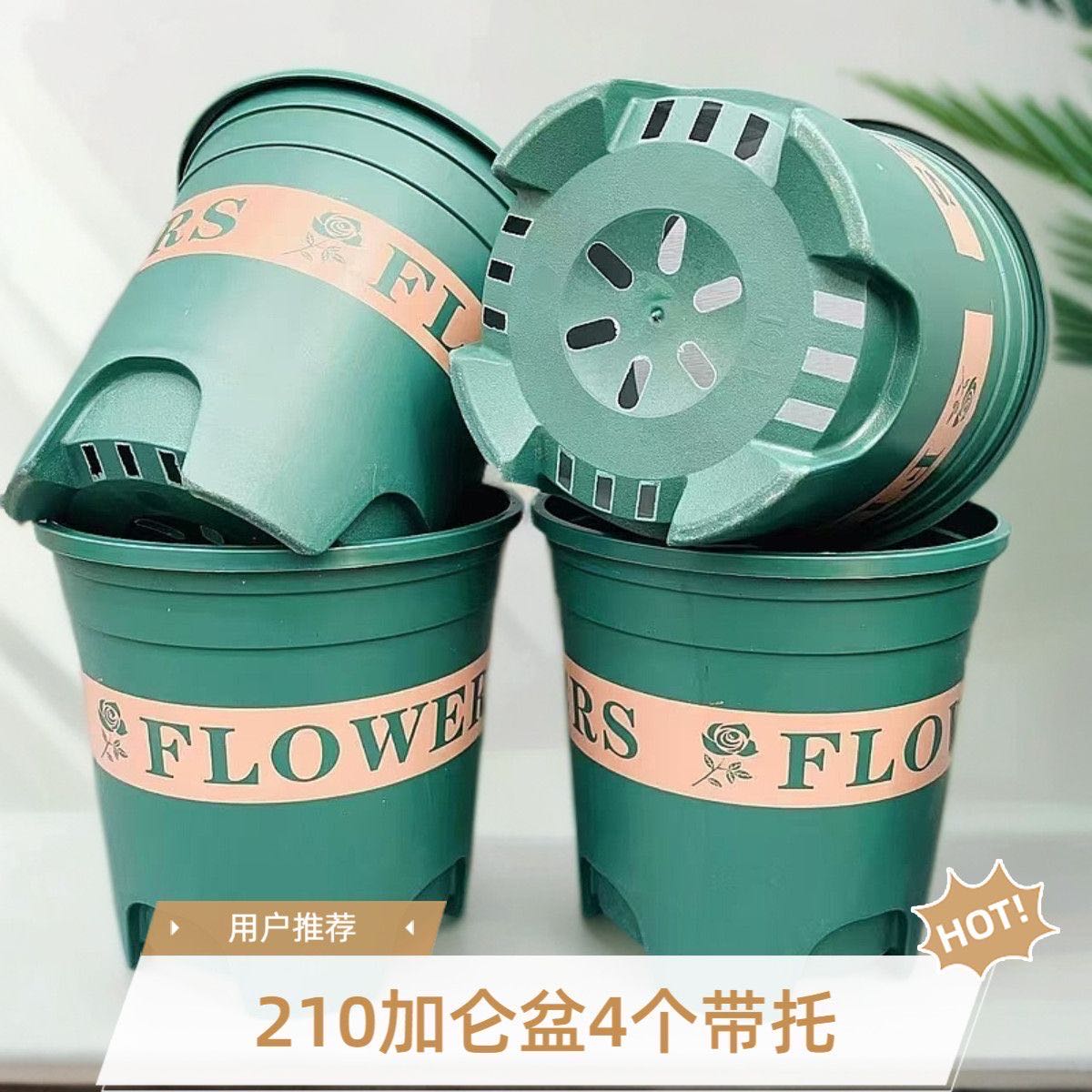 （4个花盆带托盘）210加仑花盆三角梅栀子花月季玫瑰直径21高21厘米
