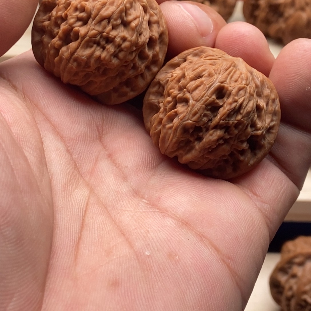 鱼***号木质类磨盘狮子头