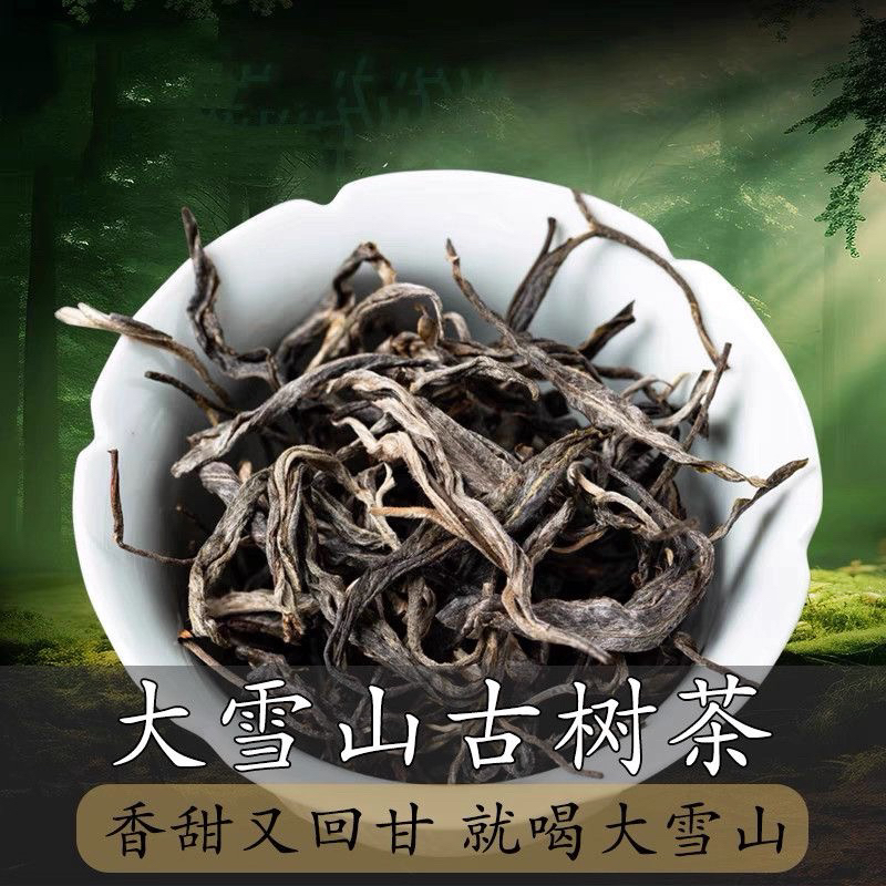 茶农直销大雪山新化村1号古树生茶散茶真名山古树茶