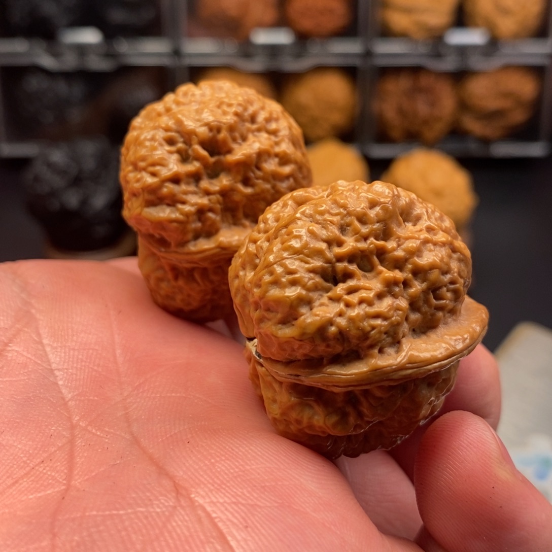 文玩核桃把件羊角蝉