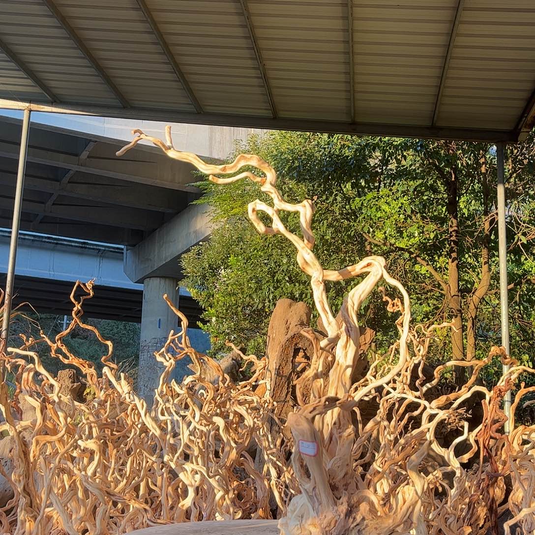 惠***具木188积极积极积极积极