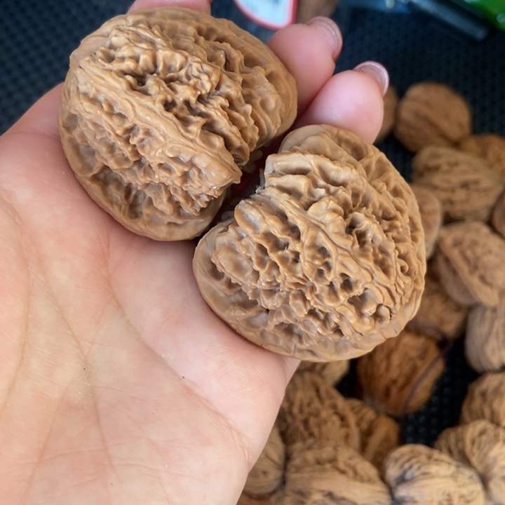 吊坠猴头核桃44南疆