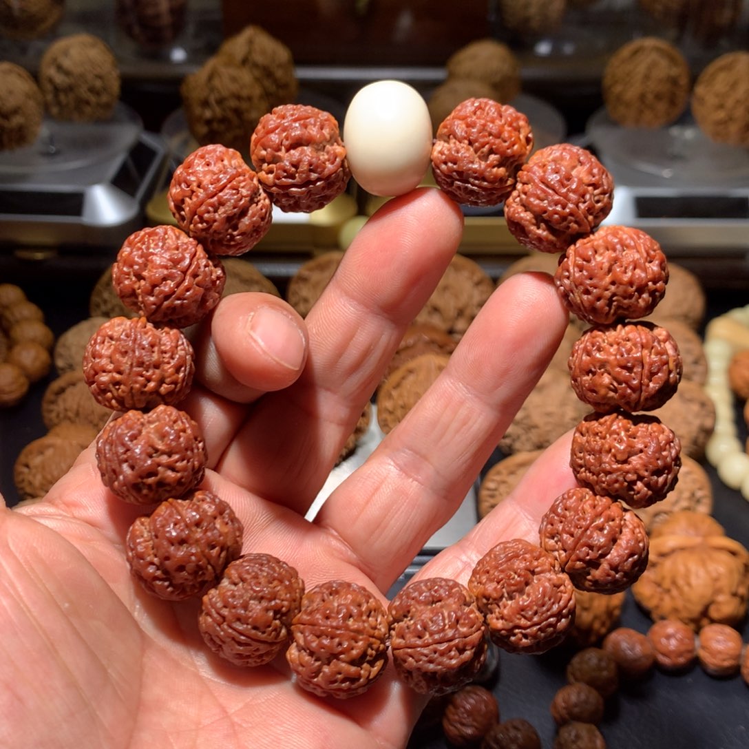 20+回血大金刚一物一图