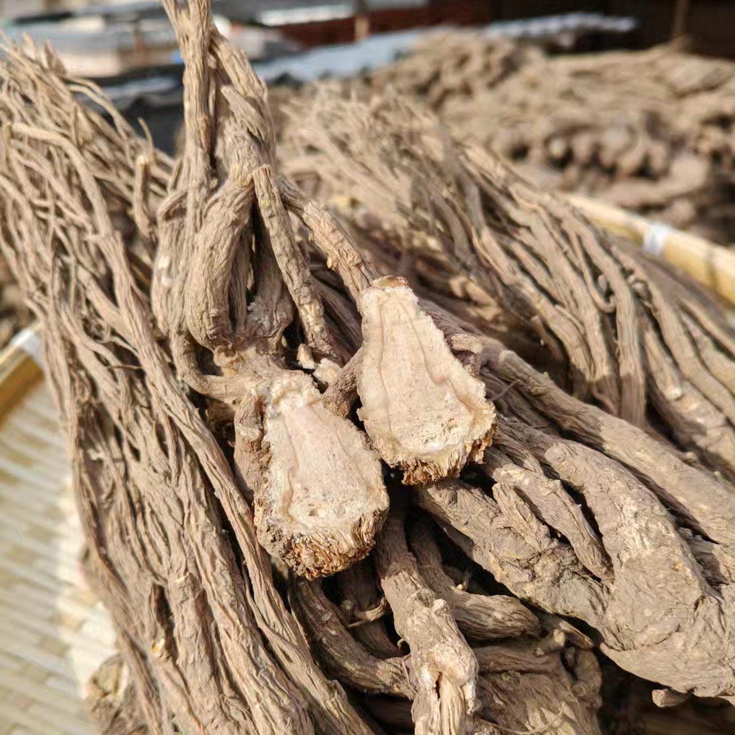 甘肃特大原条当归无硫无熏滋补养生煲汤泡酒佳品