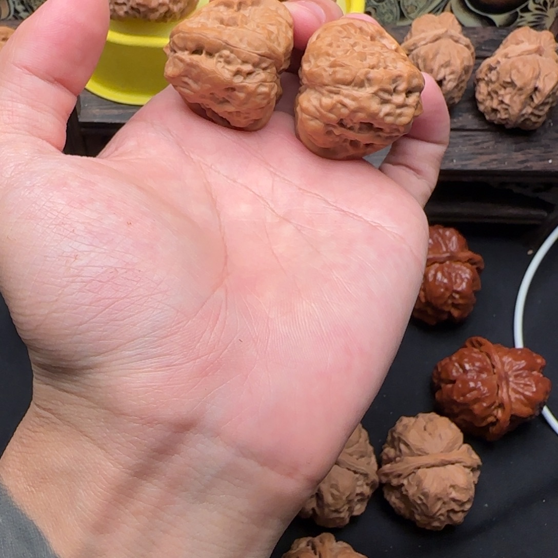 硕****大叶紫檀（黑酸枝木类）