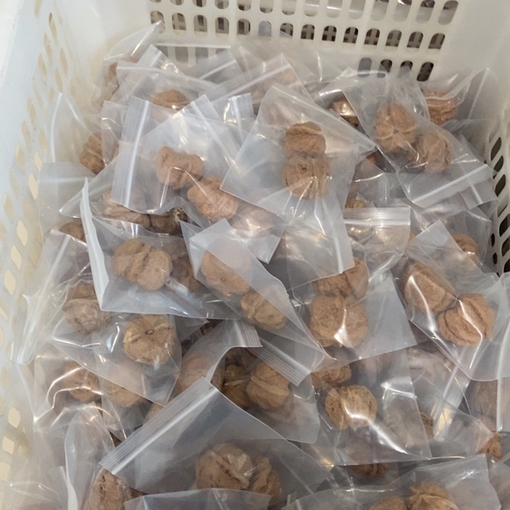 吊坠文玩核桃破烂蛙（两单起拍）