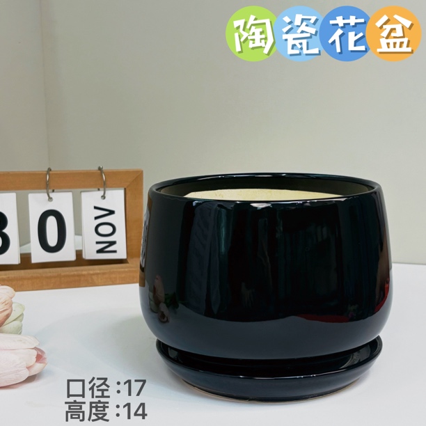 陶瓷花盆黑色带陶瓷托盘口径17高度14家用客厅桌面阳台绿植多肉盆