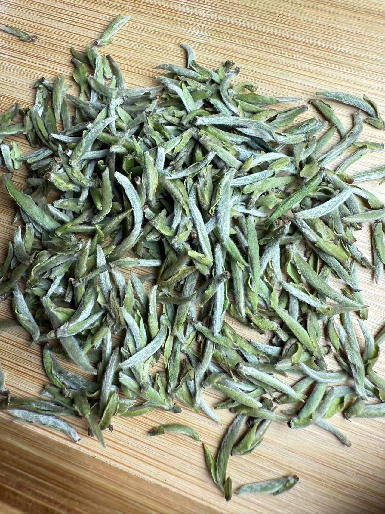 福鼎磻溪大洋山2025老树银针