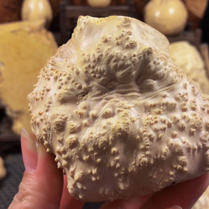 木精**作木料木料木料木料