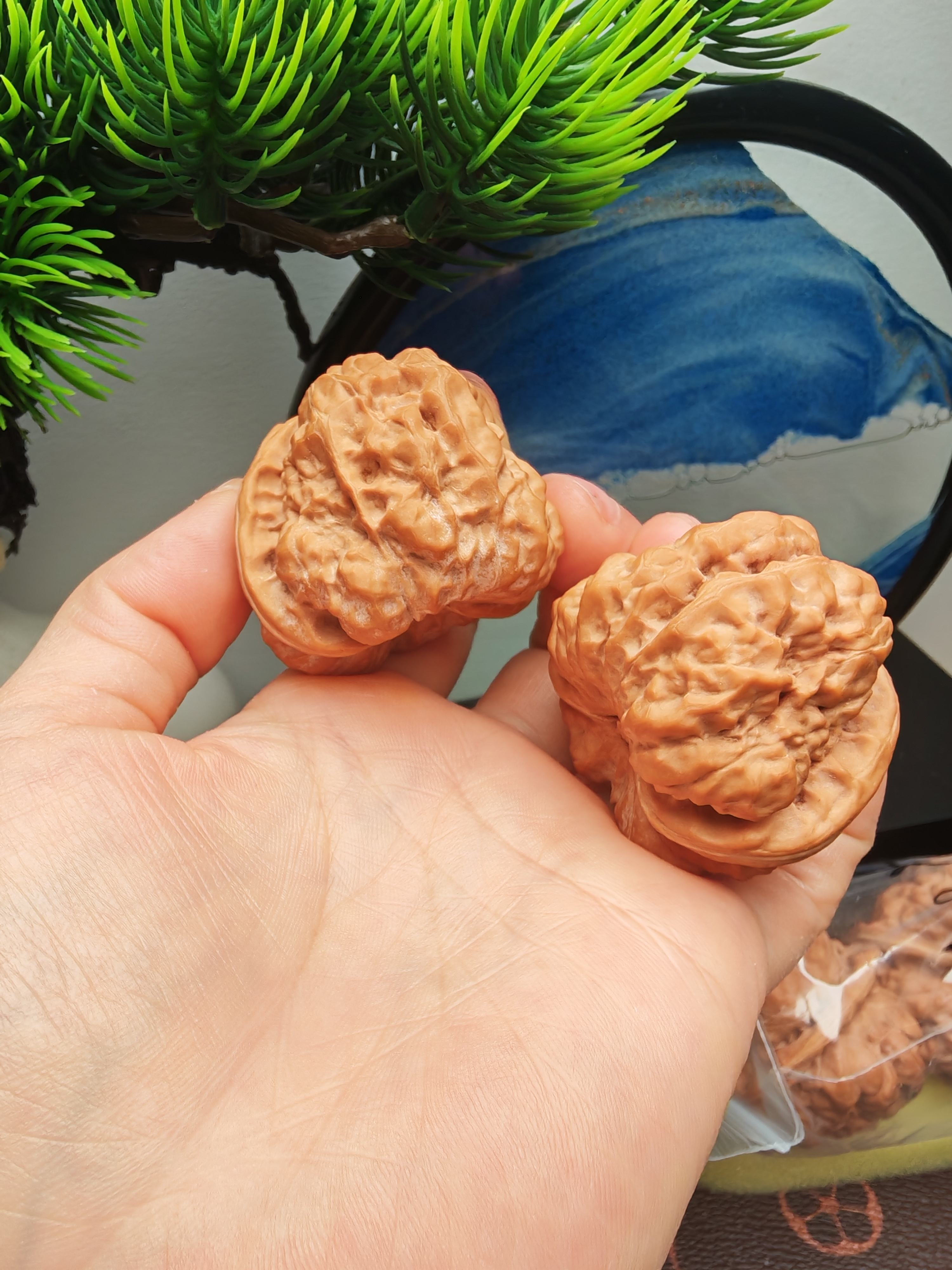 老树蛤蟆头文玩核桃开背闷尖有腿有眼收藏级手把件43尺