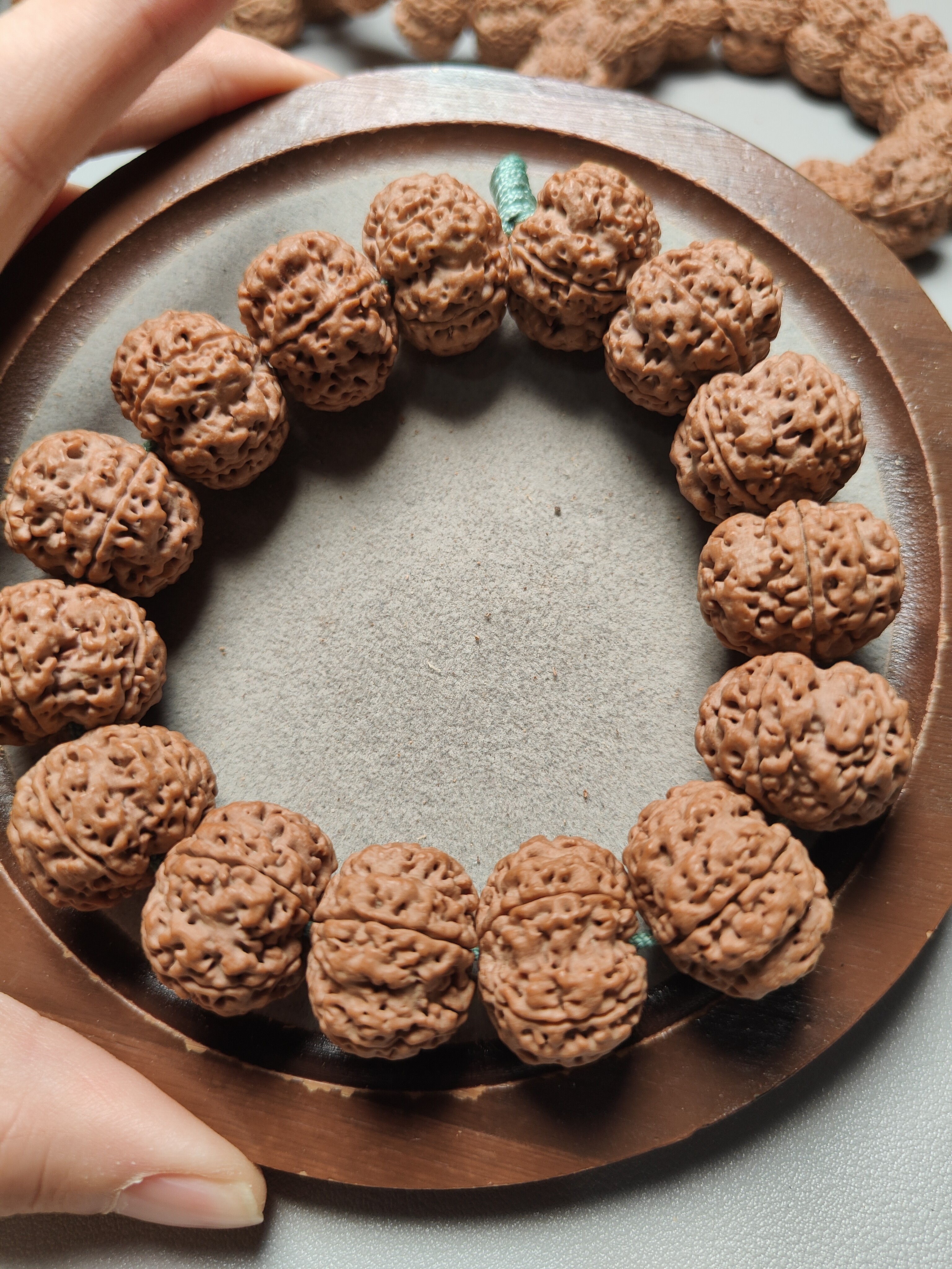 23矮桩，古龙梅花