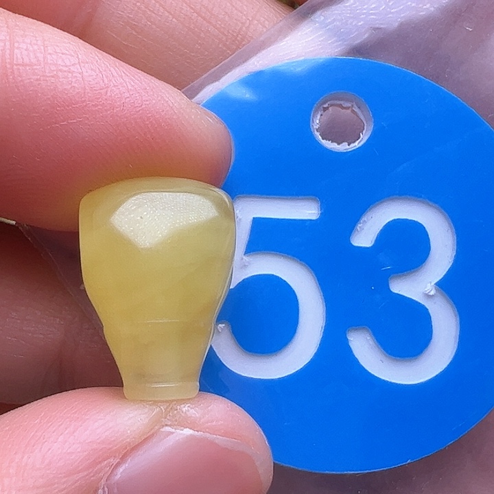 蜜蜡裸石未镶嵌11m m