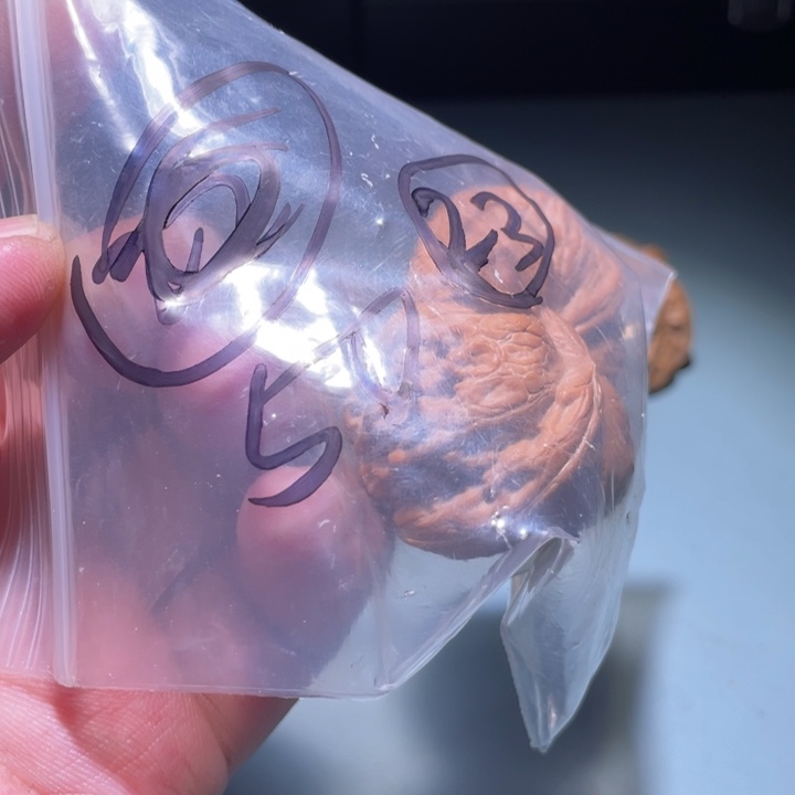 文玩核桃吊坠23呃呃呃