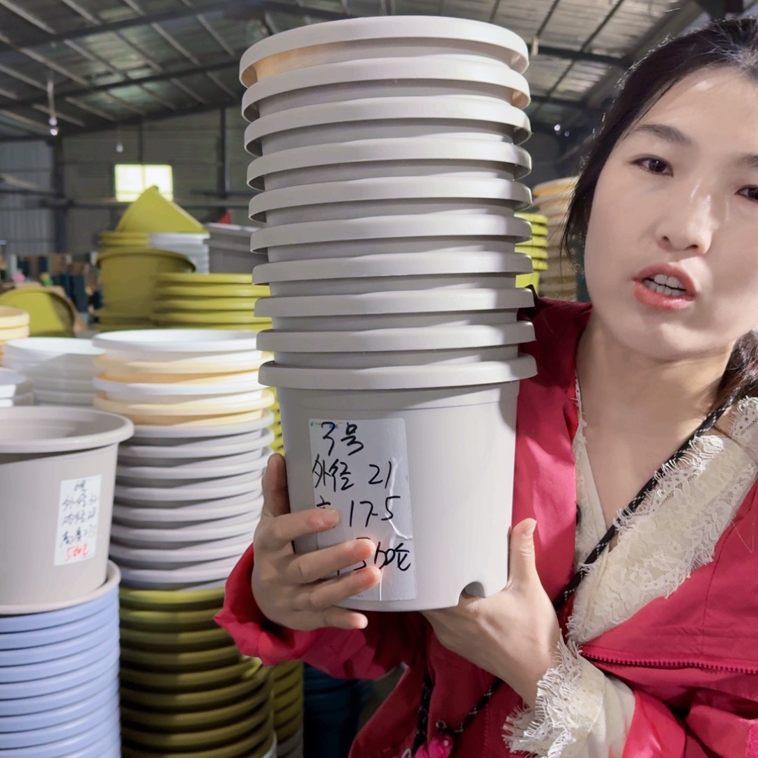 微瑕3#无拖灰白10个