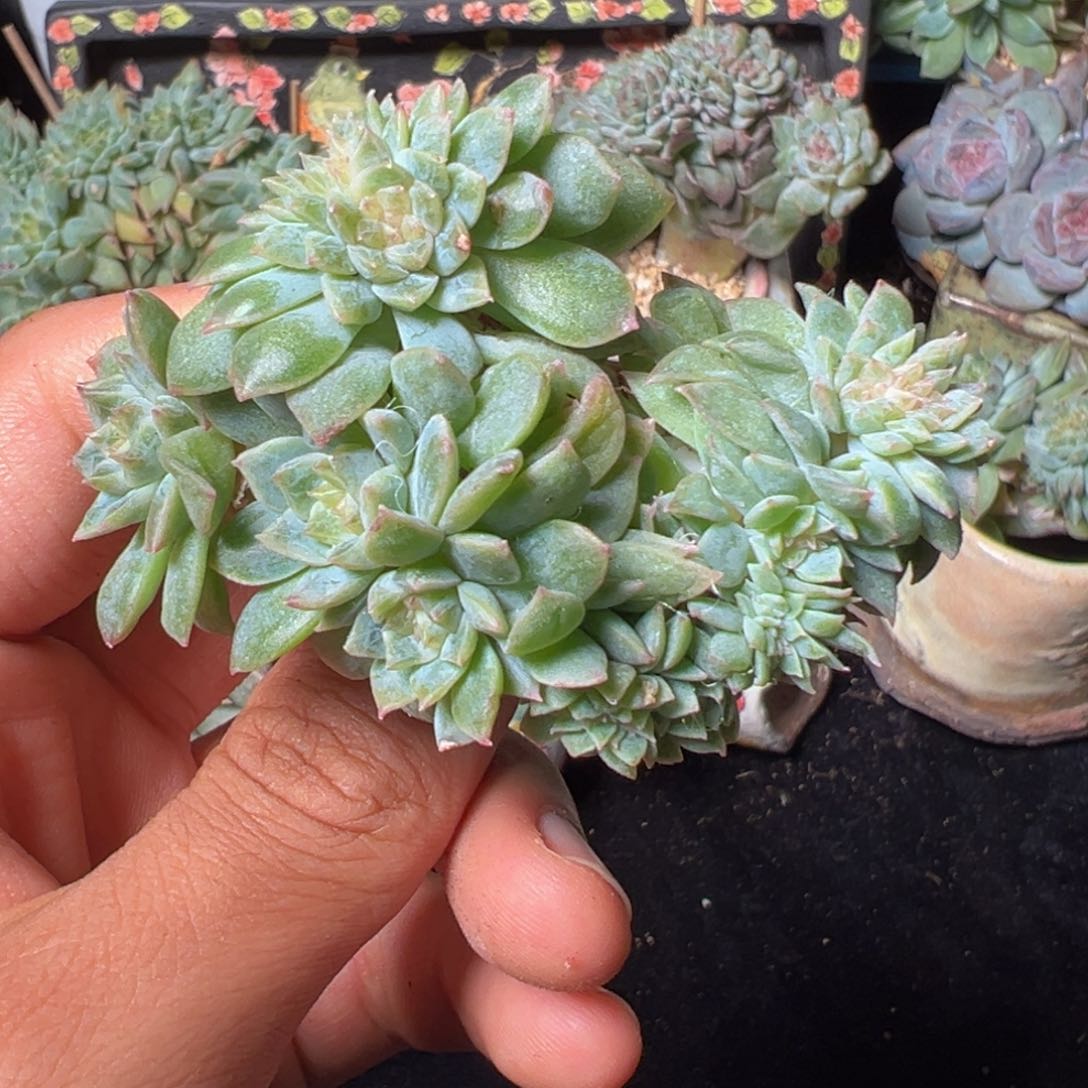 新年快乐 新年快乐