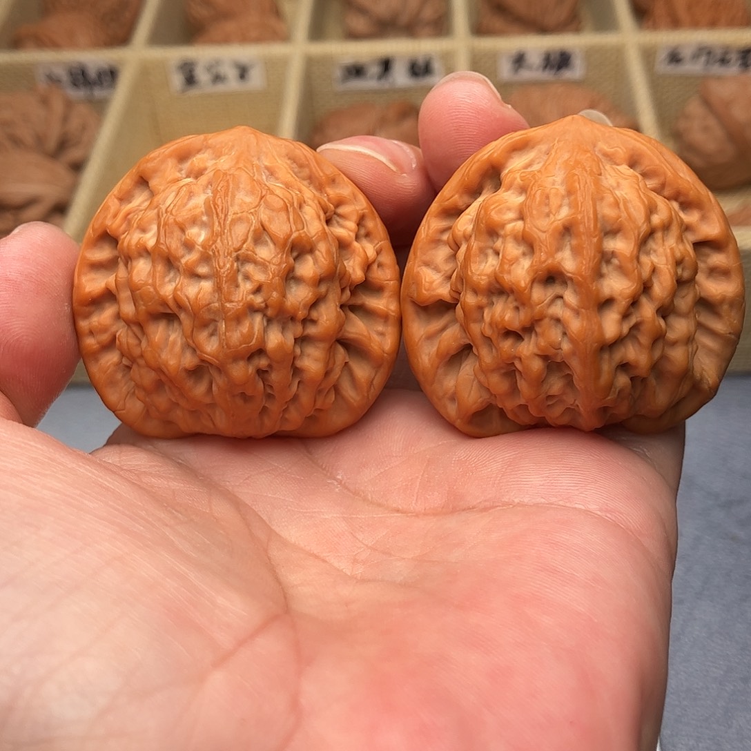 把件文玩核桃金公子44（头货精品