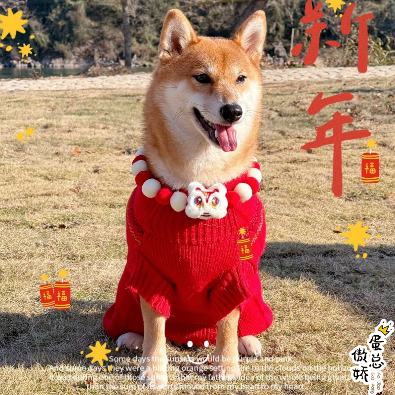 新年宠物狗狗项链装扮贺岁龙年红色喜庆装饰春节头饰手工猫咪项圈