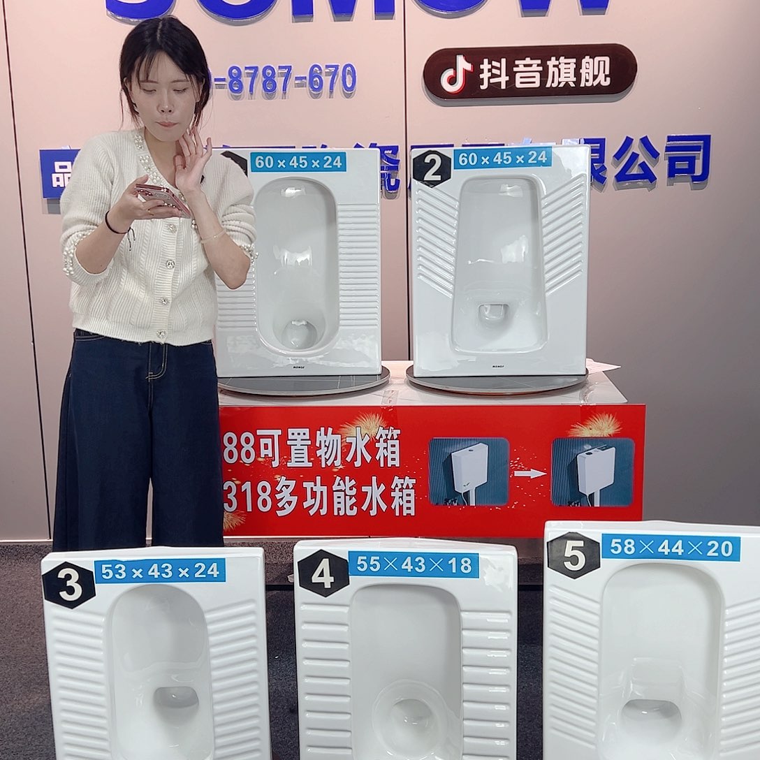 哎***哦两套升级多功能水箱蹲便器