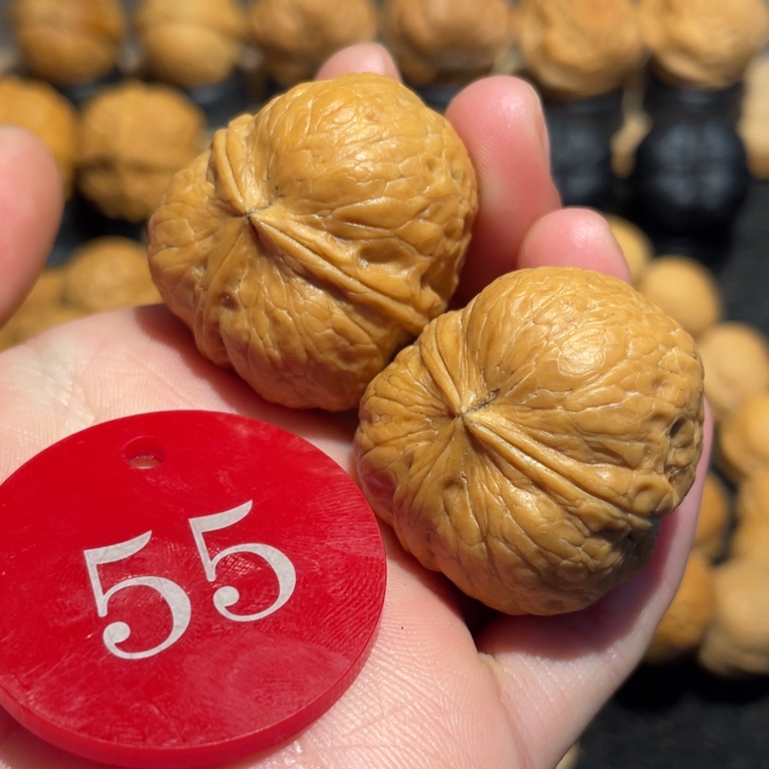 三棱南瓜萌萌包33（宠粉福利）