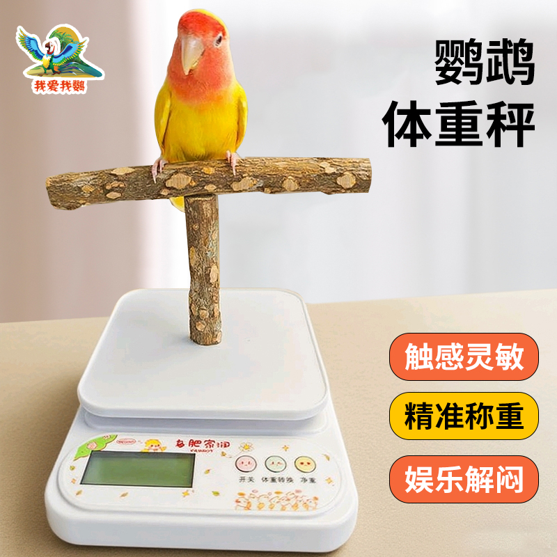 鹦鹉体重秤宠物鹦鹉虎皮牡丹玄凤适用花椒木站杆鸟笼用品磨爪啃咬