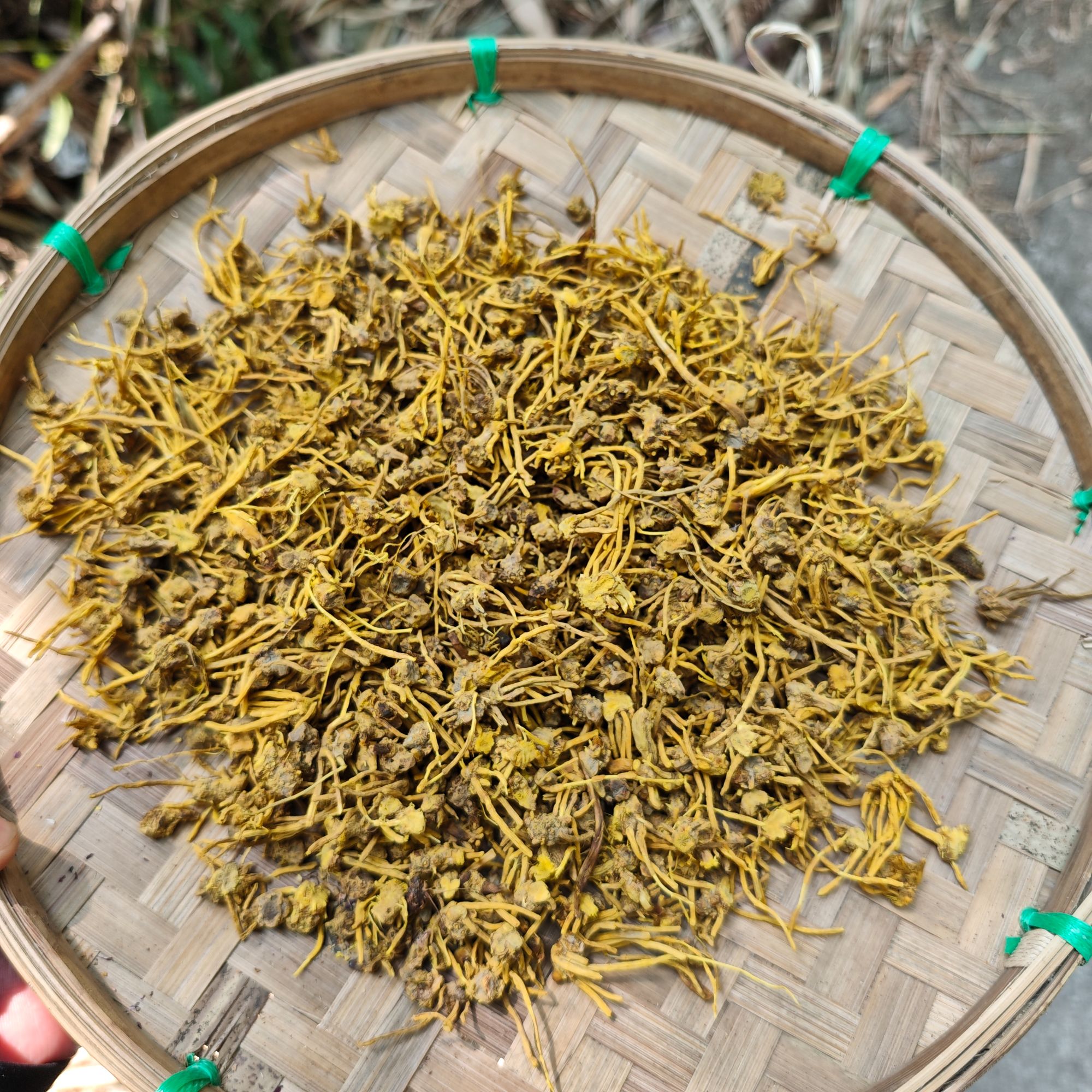 1【龙-须-石-斛-菇】净含量250-1000g【小田现收】