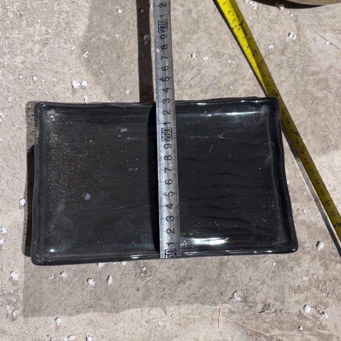 11号嘎嘎嘎嘎嘎嘎嘎