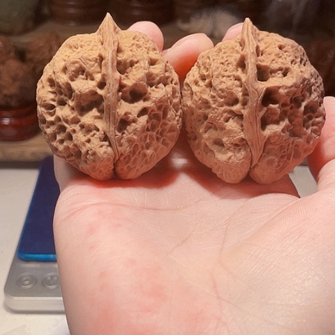 把件文玩核桃霸王龙带彩磕尖45