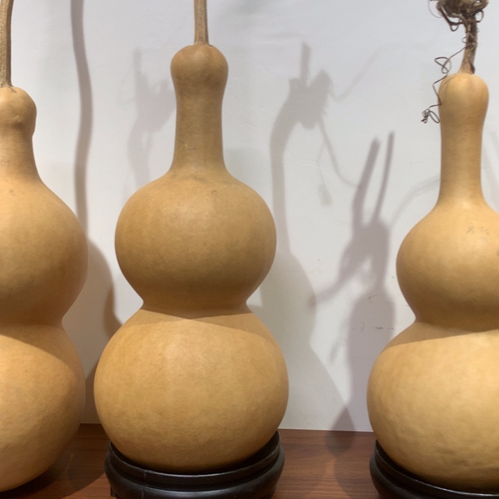 随***心中号尺寸的尺寸大小尺寸