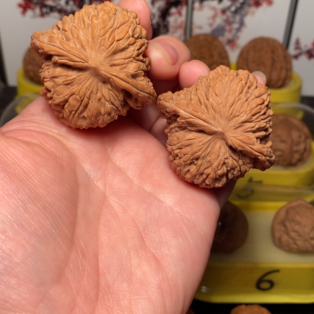 文玩核桃把件45尺球楼核桃