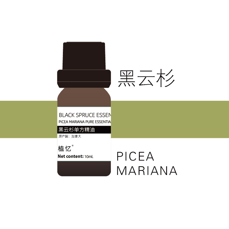 植忆黑云杉精油 加拿大 植物单方香薰精油
