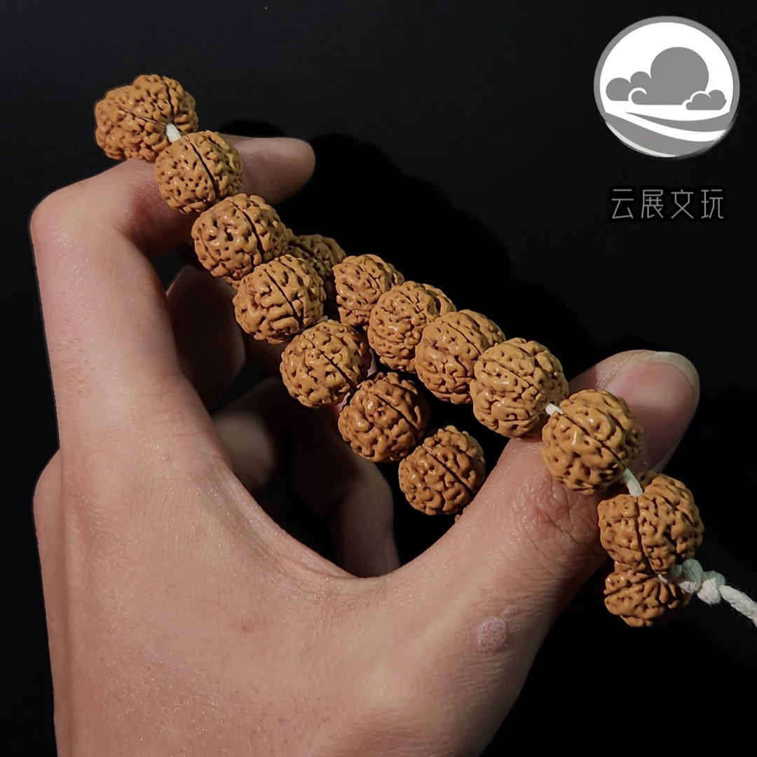 金刚菩提珠串【追龙金刚】爆肉金刚 追龙款原桩原生态-五六瓣混穿