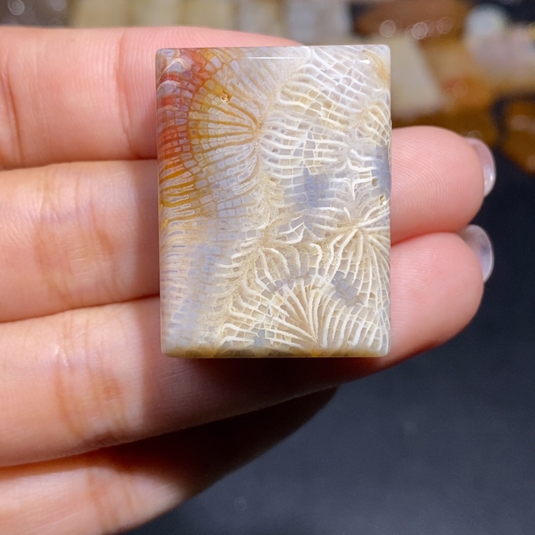 【闪购商品】硅化玉珊瑚玉未镶嵌