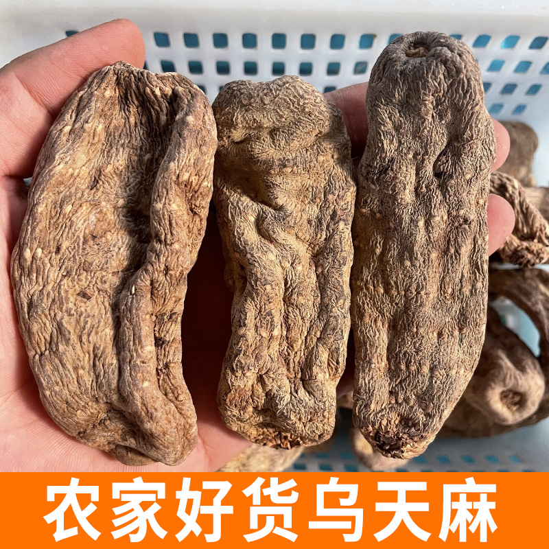 乌天麻 无硫干货 半斤装 个头大