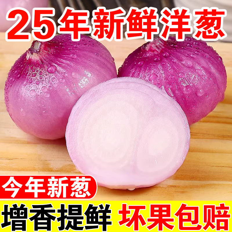 【小元专属】河南紫皮洋葱红皮生吃水果洋葱新鲜现挖当季蔬菜5斤9斤