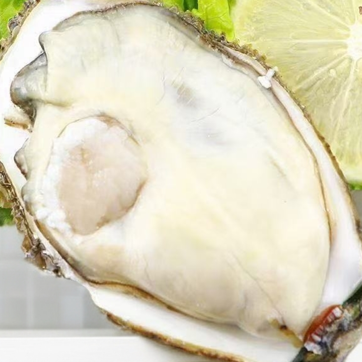 【1-17】10斤3-4两生蚝鲜活牡蛎新鲜超大特大肉海蛎子带箱海鲜刺身