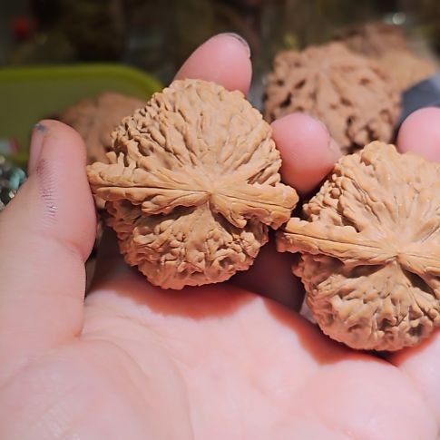 文玩核桃吊坠43白狮子