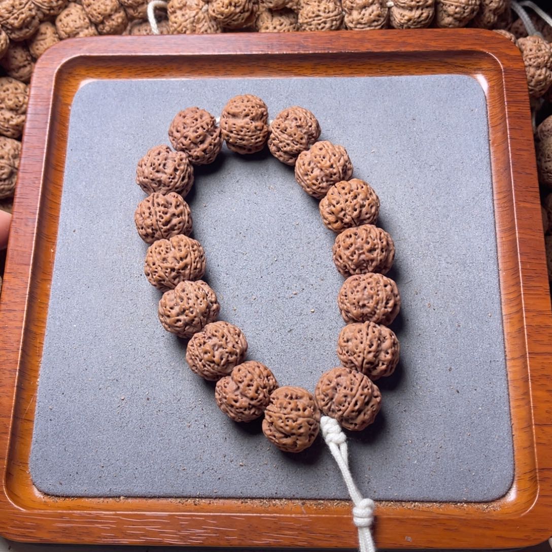 菩提籽类11号金刚菩提满肉梅花双龙20