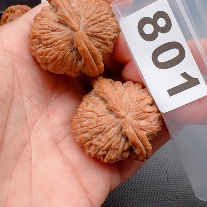 文玩核桃把件随**起白狮40